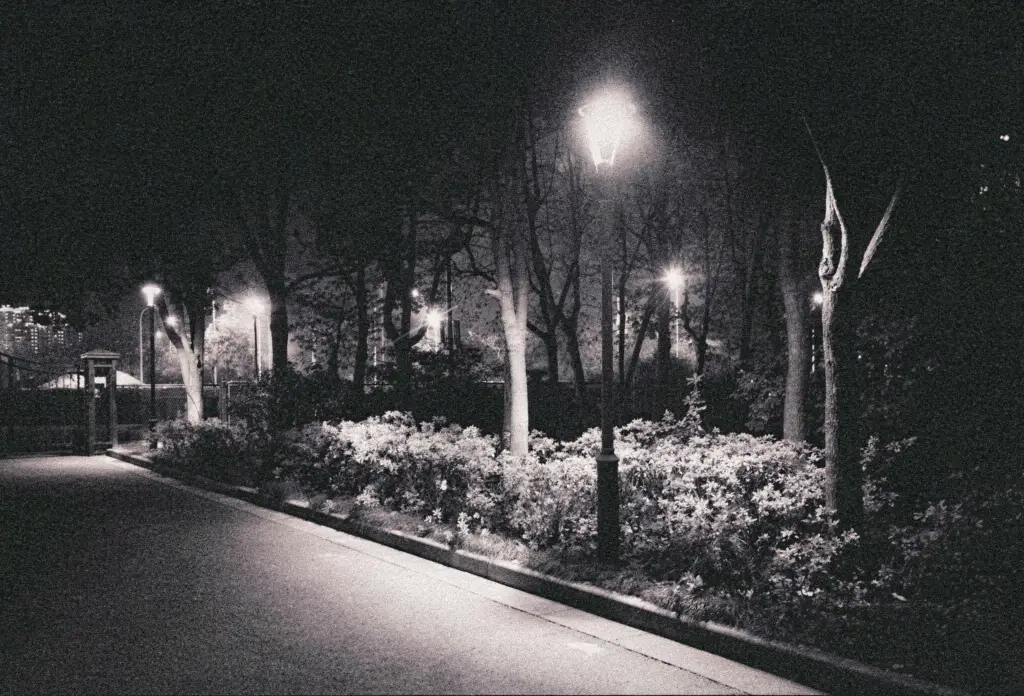 Parque à noite com postes de luz e grão perceptível, exemplo de sensibilidade ISO alta gerando granulado na foto